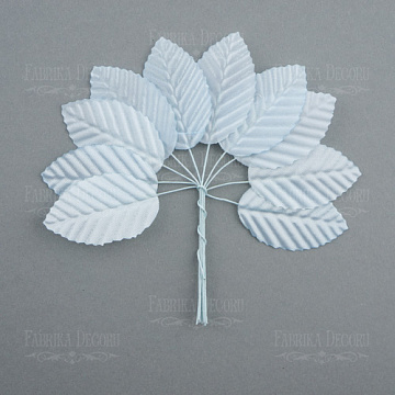 Set of leaves 10 pcs. 