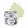 Shabby velour paint Olive