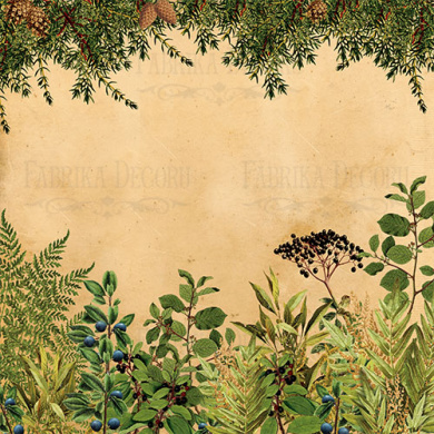 лист двусторонней бумаги для скрапбукинга botany summer #17-02 30,5х30,5 см - 2 лист двусторонней бумаги для скрапбукинга botany summer #17-02 30,5х30,5 см - 2