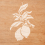 Stencil for decoration XL size (30*30cm), Lemons #028 - 4