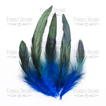 Feathers set  "Electric black"