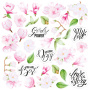 Double-sided scrapbooking paper set Magnolia in bloom 8"x8" 10 sheets - 0