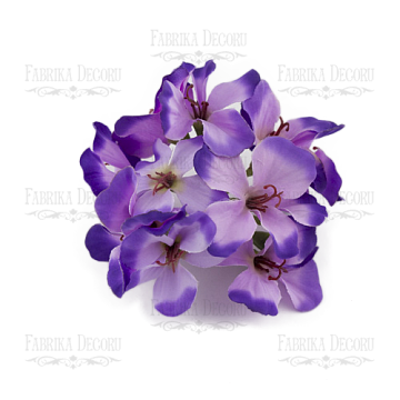 Blumen eines Zweiges violett-lila