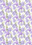 Overlay "Irises" 21х29,7 сm