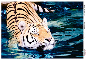 Decoupage card Tiger, watercolor #0433, 21x30cm