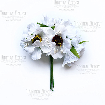 Set of poppies white, 6 pcs