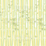 Doppelseitig Scrapbooking Papiere Satz Mein kleiner Panda-Junge, 30.5 cm x 30.5cm, 10 Blätter
