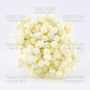 Set lacquer guelder rose berries Ivory 20pcs