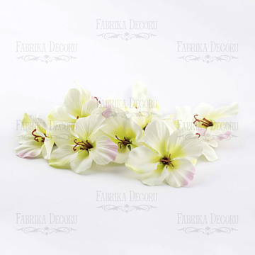  Flowers hydrangeas white with a green middle, 1 PC