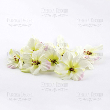  Flowers hydrangeas white with a green middle, 1 PC