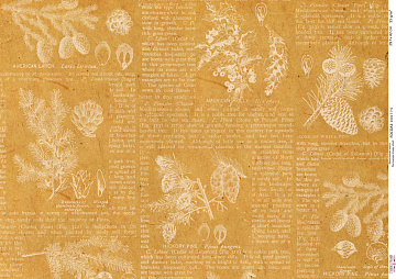 Decoupage card #0775, 29,7x42cm