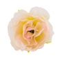 Eustoma flowers, Cream with pink 1pc - 0