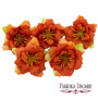 Clematis flower orange-red, 1 pc