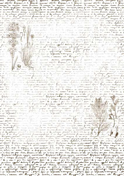 Overlay "Text mit Herbarium" 21х29,7 сm