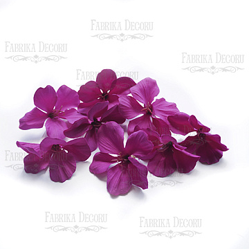  Flowers hydrangeas magenta, 1 PC