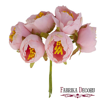 Jasmine flowers maxi Pale pink 6 pcs