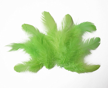 Feathers set mini "Green"