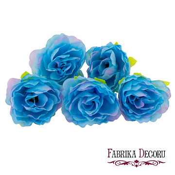 Eustoma flowers, Blue with pink 1pc