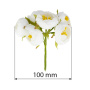 Kwiaty jaśminu maxi, kolor Biały, 6 szt