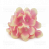 флоксы розово-кремовые