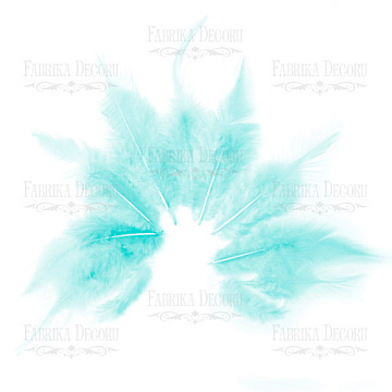 Feathers set with a tail "Heavenly"