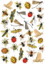 Overlay Bright summer insects 21х29,7 сm