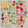 Набор высечек, коллекция Botany exotic flowers, 54 шт