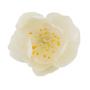 Plum flower, milky white, 1 pc - 0