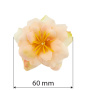 Clematis flower peach, 1 pc - 1