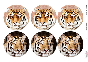 Decoupage card Tigers, watercolor #0441, 21x30cm