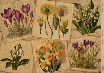 Kraftowy papier do decoupage, 42x29,7 cm, „Botanica Kraft”, #0027