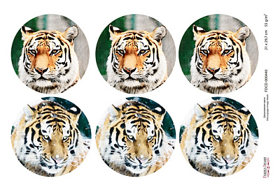 декупажная карта тигры, акварель #0440 21x29,7 см фабрика декору