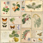 Doppelseitiges Scrapbooking-Papier-Set Summer Botanical Diary, 30.5 cm x 30.5cm, 10 Blätter