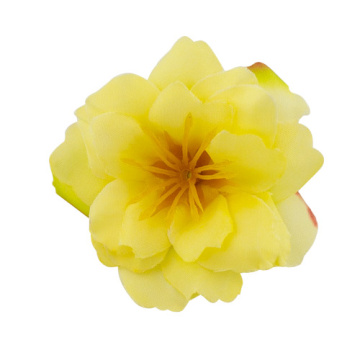 Clematis flower yellow, 1 pc - 2