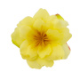 Clematis flower yellow, 1 pc - 0