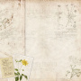 Doppelseitiges Scrapbooking-Papierset Botanik Sommer 20 cm x 20 cm, 10 Blätter