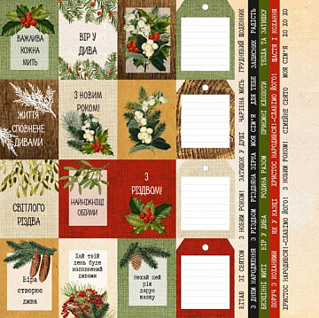 Set of pictures for decoration Winter botanical diary UA