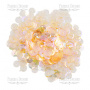 Пайетки Розетки, прозрачные радужные с персиковым оттенком, #242