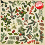 Zestaw papieru do scrapbookingu Winter botanical diary, 20cm x 20cm