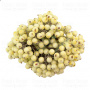 Set of sugar guelder rose berries Jasmine 20pcs