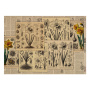 Einseitiges Kraftpapier Satz für Scrapbooking Botany spring 42x29,7 cm, 10 Blatt 