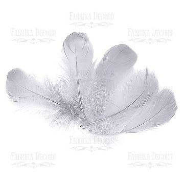 Feathers set "Gray"