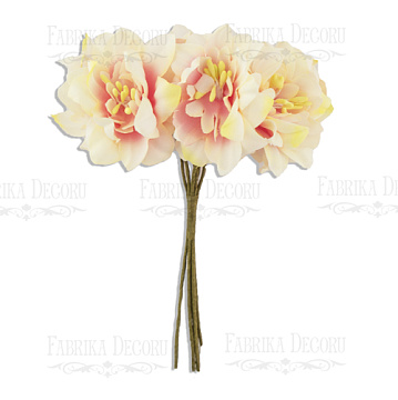  Bouquet of clematis cream pink, 6pcs