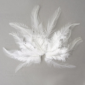 Feathers set with a tail "White"