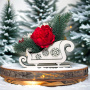 Floristic arrangement “Christmas sleigh”, 250 x 150 x 200 mm - 3