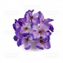 Blumen eines Zweiges violett-lila
