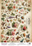 Deco vellum colored sheet Spring Botanical Story Floral Fantasy, A3 (11,7" х 16,5")