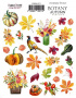 Zestaw naklejek #071,  "Botany autumn redesign  "