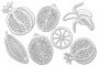 Набор чипбордов Botany exotic 10х15 см #721