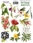 набор наклеек (стикеров) 10 шт botany exotic #210